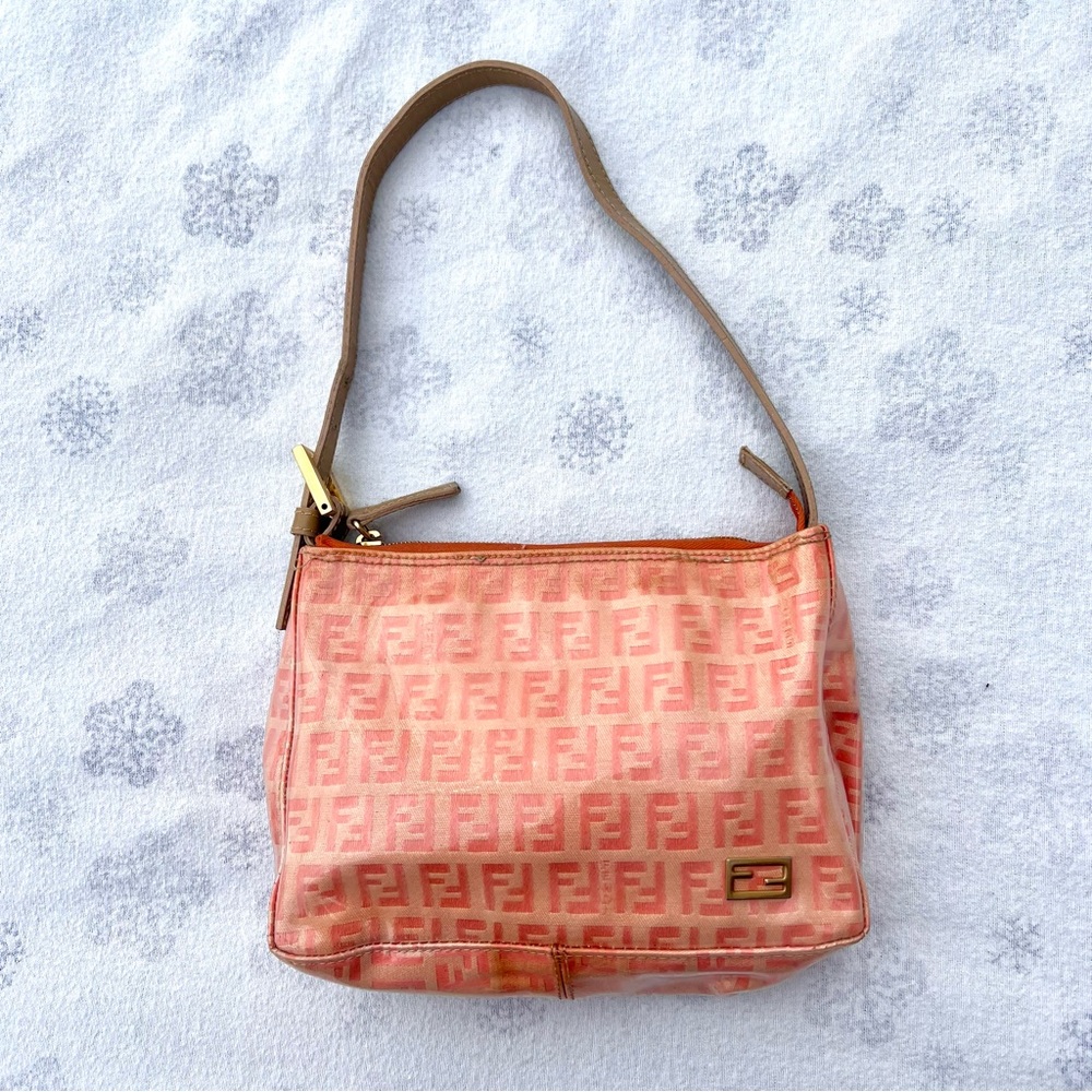 Fendi zucca bag